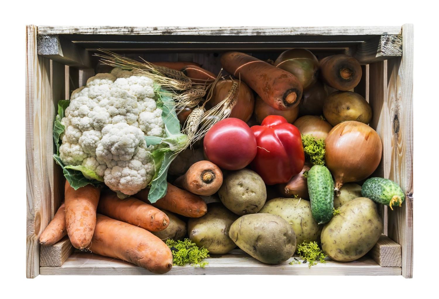 UN Reports on Food Waste