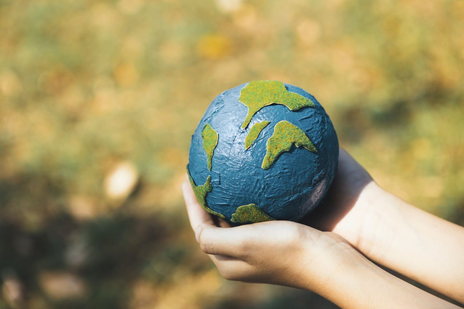 Breaking Down the Budget