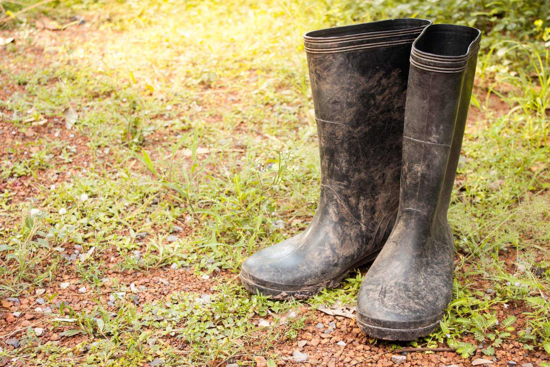 Calls for Gumboot Friday to Be Given the Boot